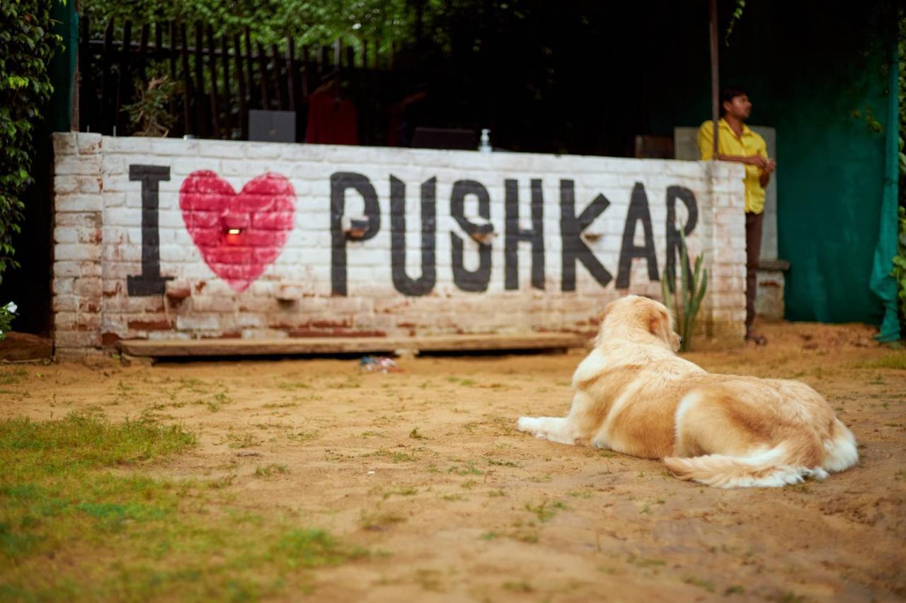 The Hostel Air Pushkar Exterior photo